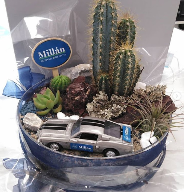 (Centro ecológico y coche de regalo 🚘 de Beatriz T) (Tarta de chocolate con frutas silvestres 🍩 de Richard B) ¡¡Muchas Gracias Chicoos!! 🤗🤗